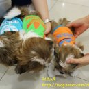 형제종합동물병원 이미지