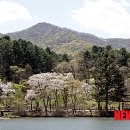 문화가 있는날 이미지