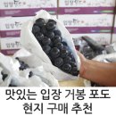 흙진주농원