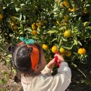 과반농장 이미지