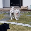 두푸딩하우스 이미지