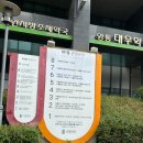 더웰이비인후과의원 | 수원 영통 더웰병원 편도절제술 후기 1 (수술 전 검사)