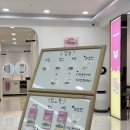 지인한의원 | 인천 다이어트 구월동 자연과한의원 지방사약 내돈내산 후기 (지인소개 추가혜택)