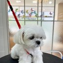 와니살롱 이미지