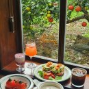 제주도 서귀포 브런치 카페 '난산리다방' | 성산 맛집 아침식사 조식 혼밥 가능한 곳 | 귤밭뷰 포토존 추천