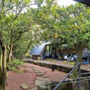 동굴목장 | 제주 겨울여행 DAY1 윤옥/빵귿/유지커피웍스/금오름/성이시돌목장/미영이네