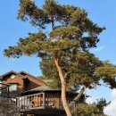 낙동놀자 이미지