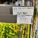 새한플라워