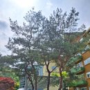 한화리조트 산정호수 안시 추천 109호 숲뷰 콘도 후기 (조식, 카페, 바베큐, 온천, 부대시설 정보)