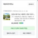 지구별무대 | [서울랜드 첫 방문 후기] 입장권 할인·놀이기구·불꽃놀이까지