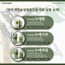 영천곤충