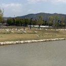 윤옥연할매떡볶이 이미지