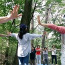 용인자연휴양림4 이미지