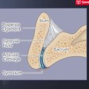 도아메디칼 | 허리디스크 관리와 신경 압박 완화, 엘도아(ELDOA) Level 4 교육 후기
