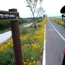 경산자전거오아시스 이미지