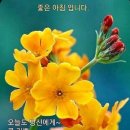 스타밸리공인중개사사무소 이미지