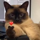 서호 생갈비 이미지