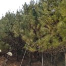 주천면무릉보건진료소 이미지