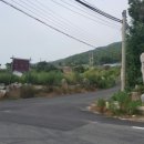 양지-2863 이미지