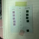 (주)엔시엘오 | 아주보통의하루