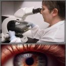 반포트라이엄프메딕스빌딩 | 그 시절 빛나던 눈, 되찾고 싶소? 눈 건강 지키는 꿀팁 대방출!