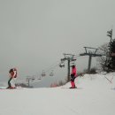 웰리힐리파크 이미지