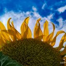 핸드폰 사진 클래스: 찍GO 편집하GO, 감성 완성! 이미지