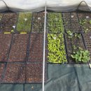 성기농장 이미지