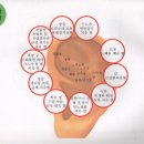 이혈요법 이미지