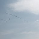 서해펜션 이미지