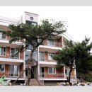 소나무 황토빌 이미지