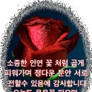 가만가만 부르는 노래 이미지