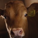 연학초등학교 이미지