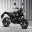 비전모터풀 이미지