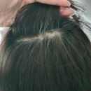 퀸스타 천연헤나 | 천연헤나염색 :퀸스타헤나