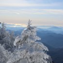 ⛰️ 24년 마무리 민족의 영산 지리산 천왕봉 (1,915m) 상고대 벙개산행 진행합니다 이미지