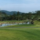 오션비치 이미지