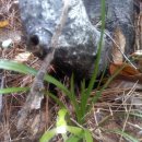 적성도로 옆 이미지