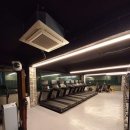 영바디짐 이미지