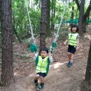 강내초교 병설유치원 이미지