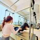 바우 필라앤피티 이미지