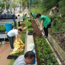 구암동 행정복지센터앞 이미지