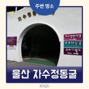 디지털 감성과 자연의 신비가 공존하는 언양 자수정동굴나라