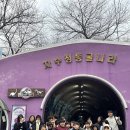 자수정캠프