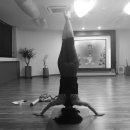 묵타요가 이미지