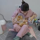 두부두부캣묭실 이미지