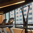 에이스 운동과학센터 예천점 | 확실한 변화와 건강한 습관의 시작 에이스짐 도곡동pt