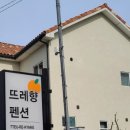 뜨레향