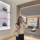 더디올 | 레이디디올 스몰 블랙 램스킨 후기 + 더현대서울 디올 (미니 구매 후 스몰로 교환 후기)