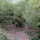 금평마을회관 이미지